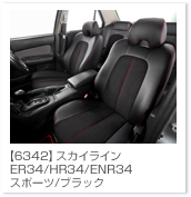 �X�J�C���C��
