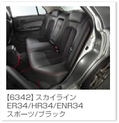 �X�J�C���C��