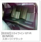 �X�J�C���C��