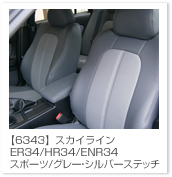 �X�J�C���C��
