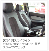 �X�J�C���C��