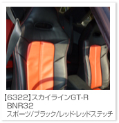 �X�J�C���C��