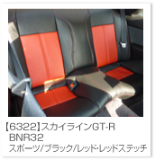 �X�J�C���C��