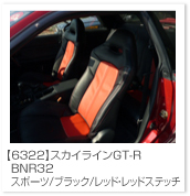 �X�J�C���C��