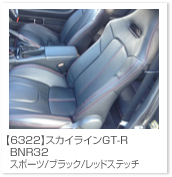 �X�J�C���C��