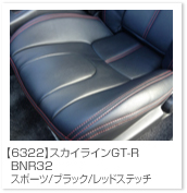 �X�J�C���C��