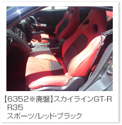 �X�J�C���C��