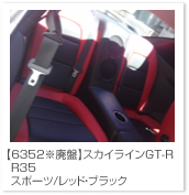 �X�J�C���C��
