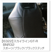 �X�J�C���C��