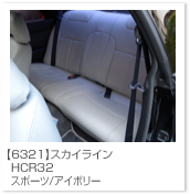 �X�J�C���C��