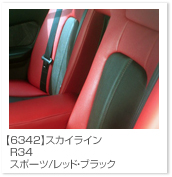 �X�J�C���C��