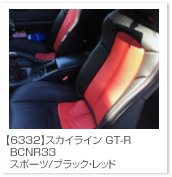 �X�J�C���C��
