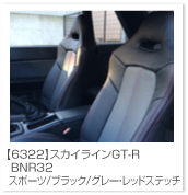 �X�J�C���C��