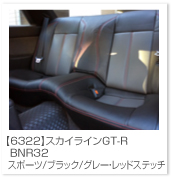 �X�J�C���C��