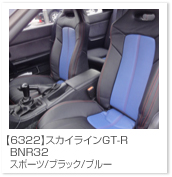 �X�J�C���C��