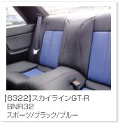 �X�J�C���C��
