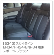 �X�J�C���C��