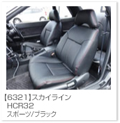 �X�J�C���C��