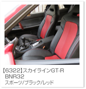 �X�J�C���C��