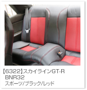 �X�J�C���C��