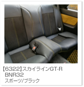 �X�J�C���C��