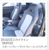 �X�J�C���C��
