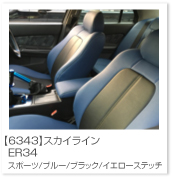 �X�J�C���C��