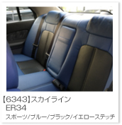 �X�J�C���C��