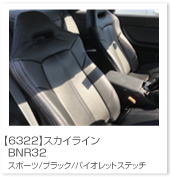 �X�J�C���C��