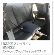 �X�J�C���C��