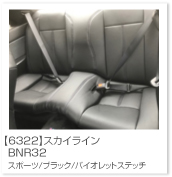 �X�J�C���C��