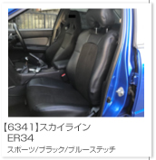 �X�J�C���C��
