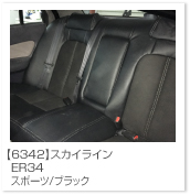 �X�J�C���C��