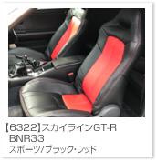 �X�J�C���C��