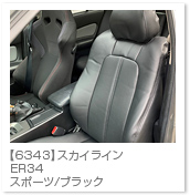 �X�J�C���C��