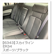 �X�J�C���C��