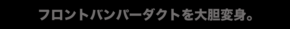 フロントバンパーダクトを大胆変身