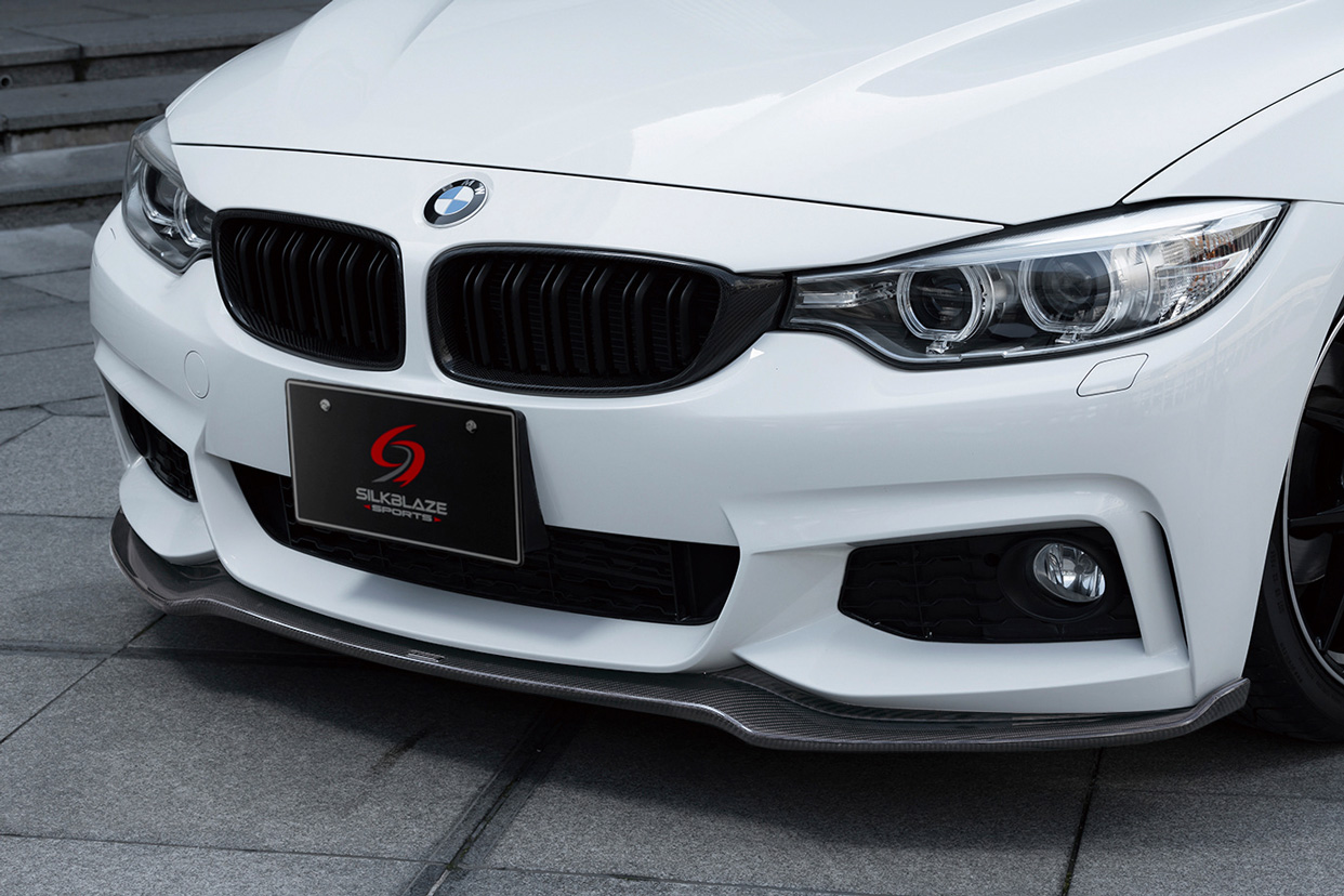 フロントリップ Type-S