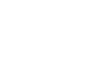 SilkBlaze スポーツ